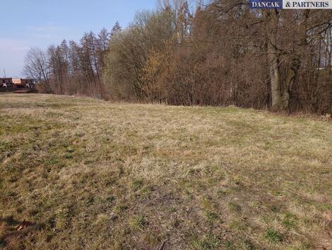 foto02_11451809_m5jko.jpg