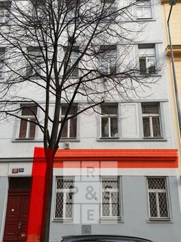 foto02_11471439_1fe0b4.jpg