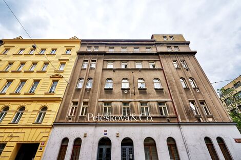 foto02_11525757_kz1ek.jpg