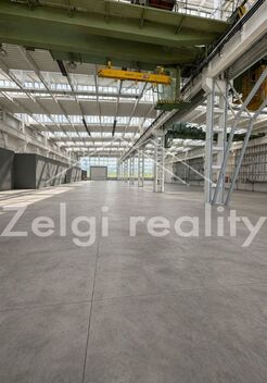 foto02_11494937_atf7o.jpg