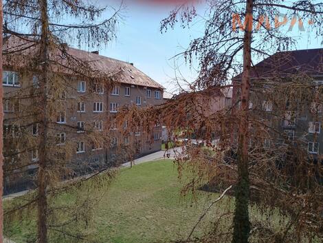 foto02_11469510_ht3ec.jpg
