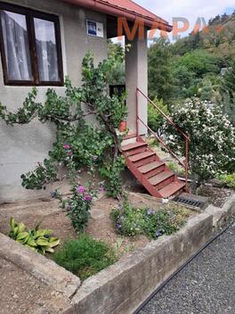 foto02_11476425_1ck4n0.jpg