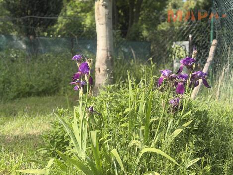 foto02_11504821_drnlg.jpg