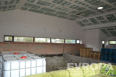 foto02_11381523_zc7gk.jpg