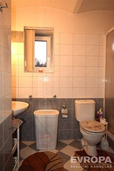 foto02_11381620_b2hlo.jpg