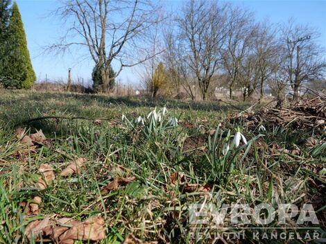 foto02_11381653_4zs8.jpg