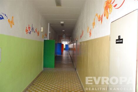 foto02_11381656_17eczg.jpg