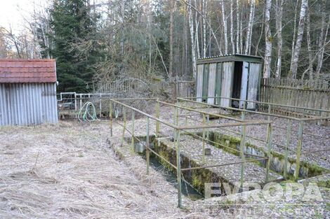 foto02_11381656_xvixk.jpg