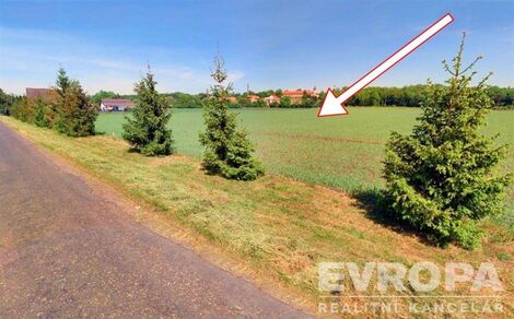 foto02_11381659_1c9zd0.jpg