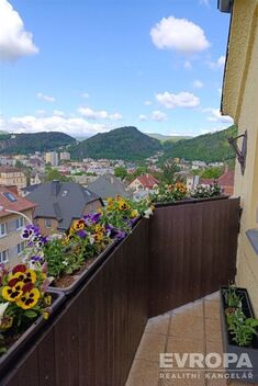 foto02_11381716_1ezclw.jpg