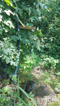 foto02_11381776_frbos.jpg