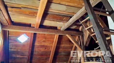 foto02_11381780_8d5z4.jpg