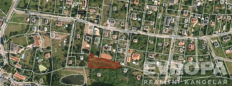 foto02_11381800_1d29vo.jpg