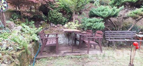 foto02_11381830_z4f24.jpg
