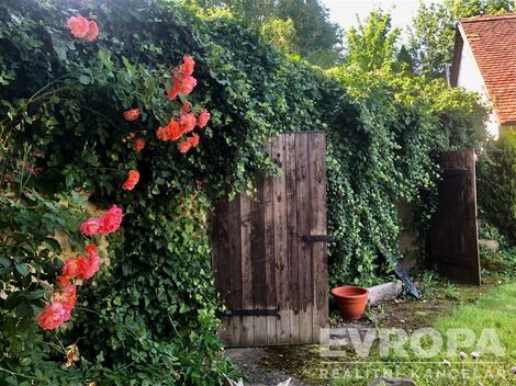 foto02_11381877_1iv3h0.jpg