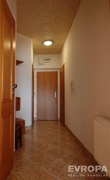 foto02_11381931_b2efs.jpg