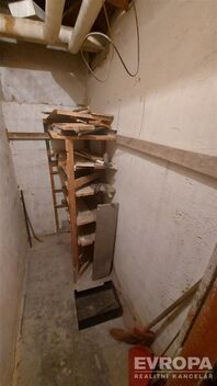 foto02_11492333_8fl0g.jpg