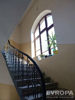 foto02_11496596_1edzjs.jpg