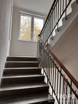 foto02_11517845_uuiuw.jpg