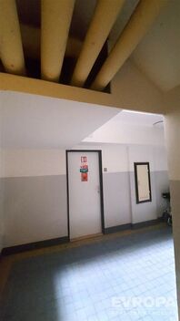 foto02_11528778_i8b5s.jpg