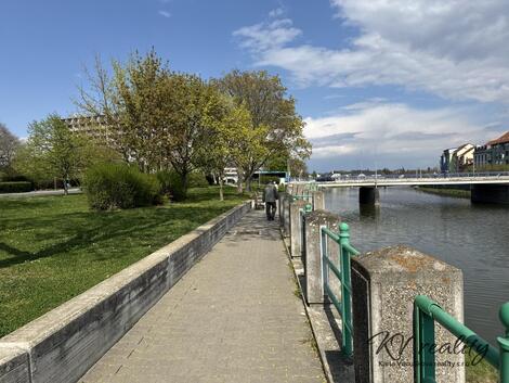 foto02_11437999_ynm9w.jpg