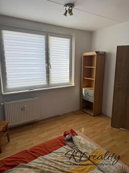 foto02_11481221_ekxrg.jpg