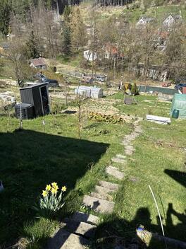 foto02_11482116_2pi3w.jpg