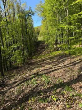 foto02_11497800_11c5i8.jpg