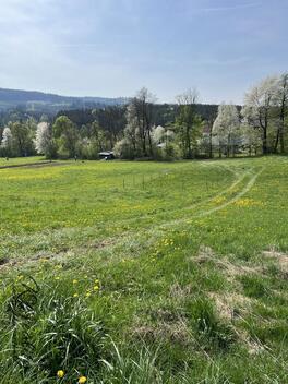 foto02_11516592_17dws4.jpg