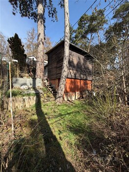 foto04_11362544_13kjkc.jpg