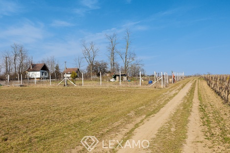 foto05_11463400_7kde8.jpg