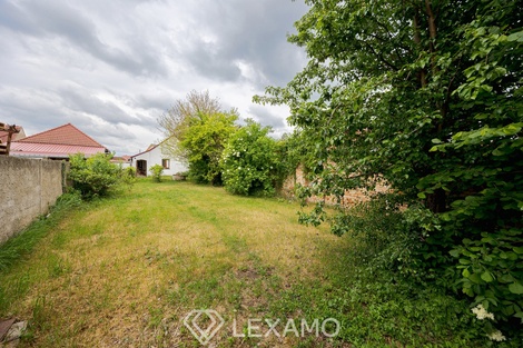 foto05_11495975_26up0.jpg