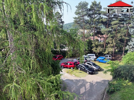 foto05_11383954_7idga.jpg