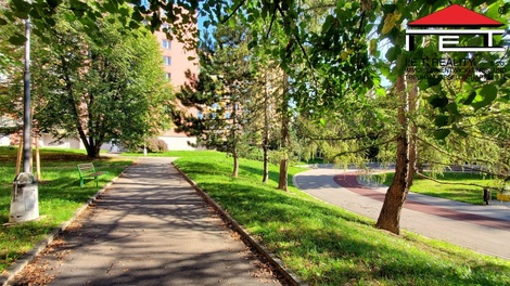 foto05_11508594_3uuo4.jpg