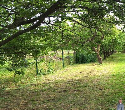 foto02_11554817_11tntw.jpg