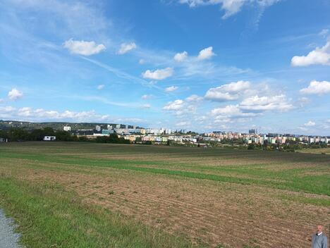 foto02_11554817_c1xrc.jpg