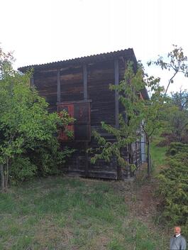 foto02_11554817_k4vg4.jpg