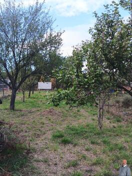 foto02_11554817_v7h28.jpg