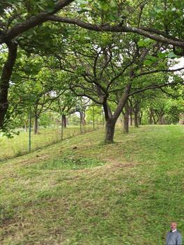 foto02_11554817_xbxu8.jpg