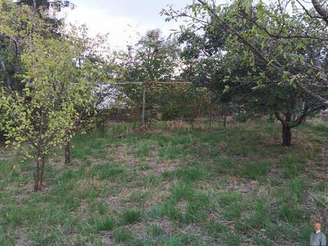 foto02_11554817_z9vw8.jpg