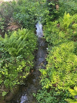 foto04_11229368_6ldg4.jpg