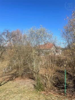 foto04_11229368_aziqg.jpg