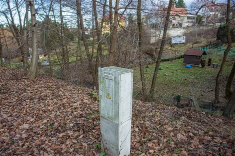 foto04_11229368_ligsc.jpg