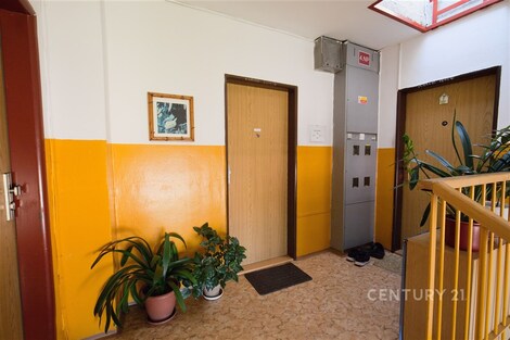 foto04_11488786_ijvac.jpg