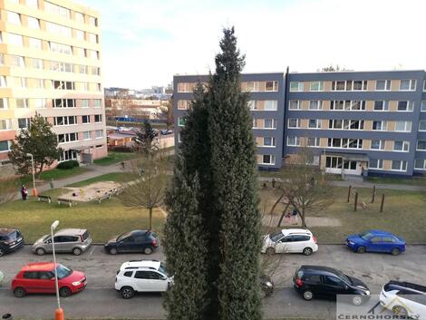 foto02_11464002_ad8yk.jpg
