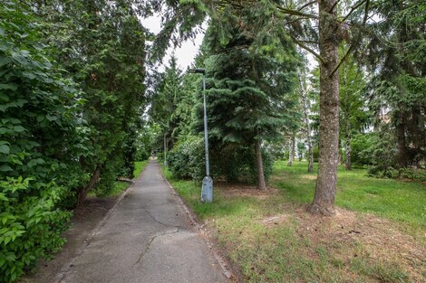 foto04_11336308_jbws.jpg