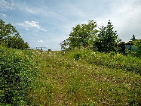 foto04_11338094_lsvpk.jpg