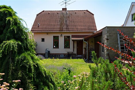 foto04_11346328_1jgrso.jpg