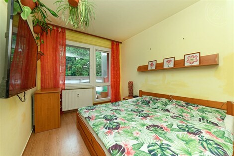 foto04_11352179_cwxyo.jpg