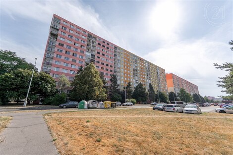 foto04_11377784_1i2skg.jpg